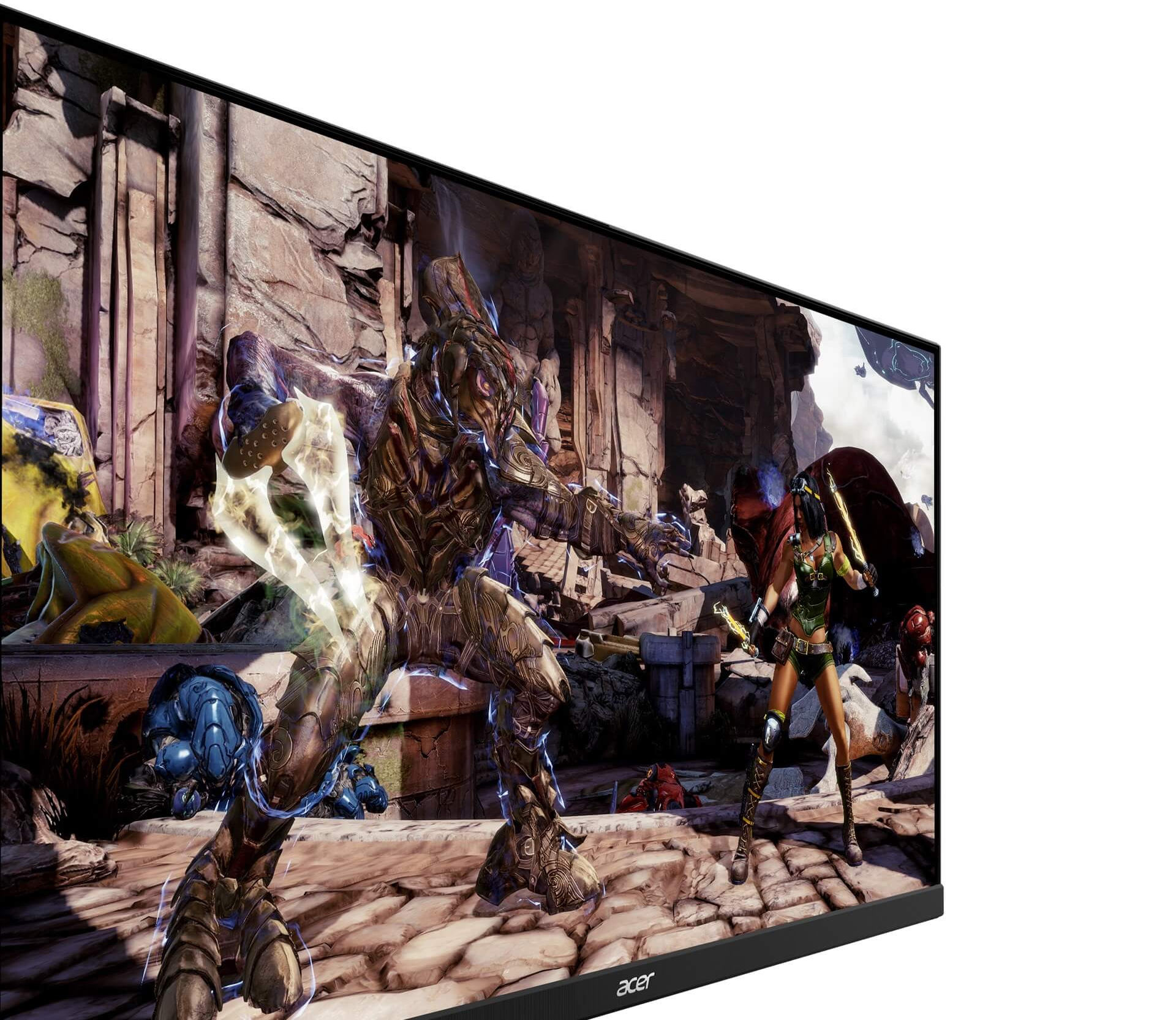 Acer Gaming Monitor